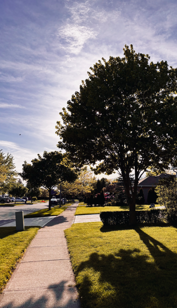 Aldo Parrotta — Ward 2 Candidate, Welland